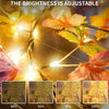 Enchanted Butterfly LED Lights