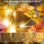 Enchanted Butterfly LED Lights