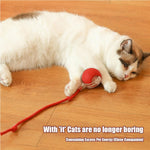 Interactive Rolling Pet Ball