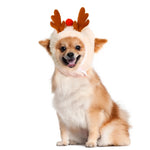 Christmas Pet Costumes