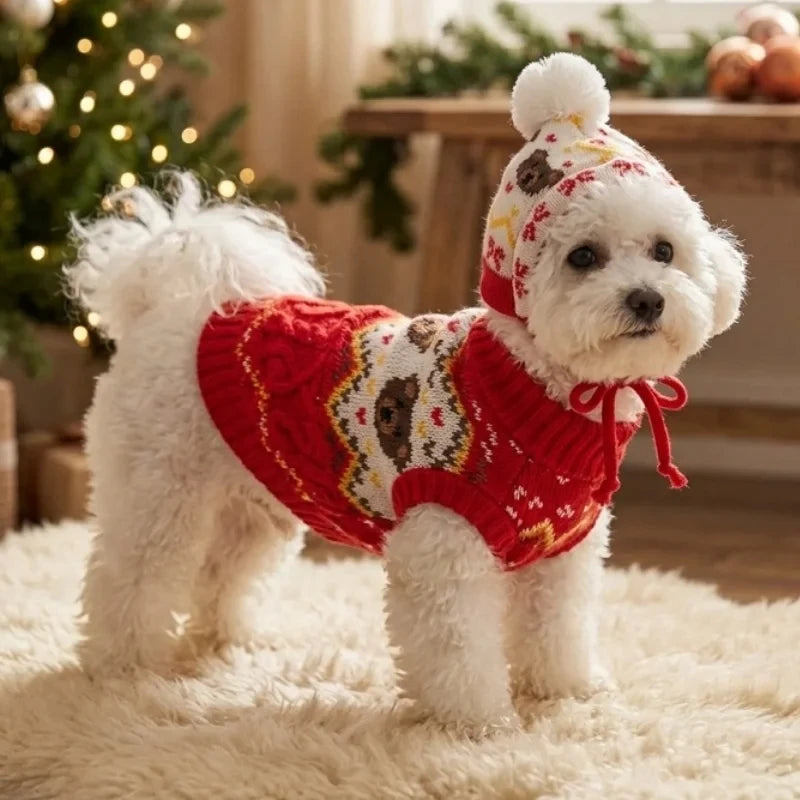 Cable-Knit Dog Sweater