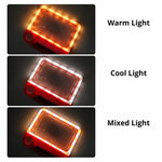 LED Full Page Magnifier