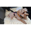 Pet Car Seat Belt Buckle