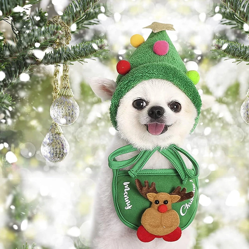 Christmas Pet Costumes