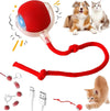 Interactive Rolling Pet Ball