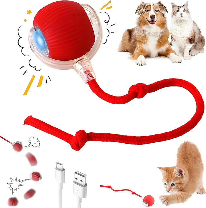Interactive Rolling Pet Ball