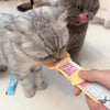Cat Treat Squeeze Spoon