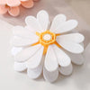 Magnetic Daisy Chip Clip Set
