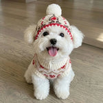 Cable-Knit Dog Sweater
