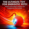 Interactive Rolling Pet Ball