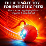 Interactive Rolling Pet Ball