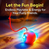 Interactive Rolling Pet Ball