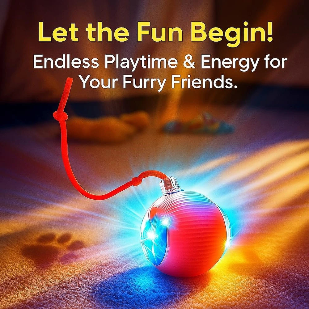 Interactive Rolling Pet Ball