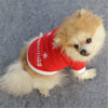 Dog Christmas Sweatshirt