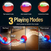 Interactive Rolling Pet Ball
