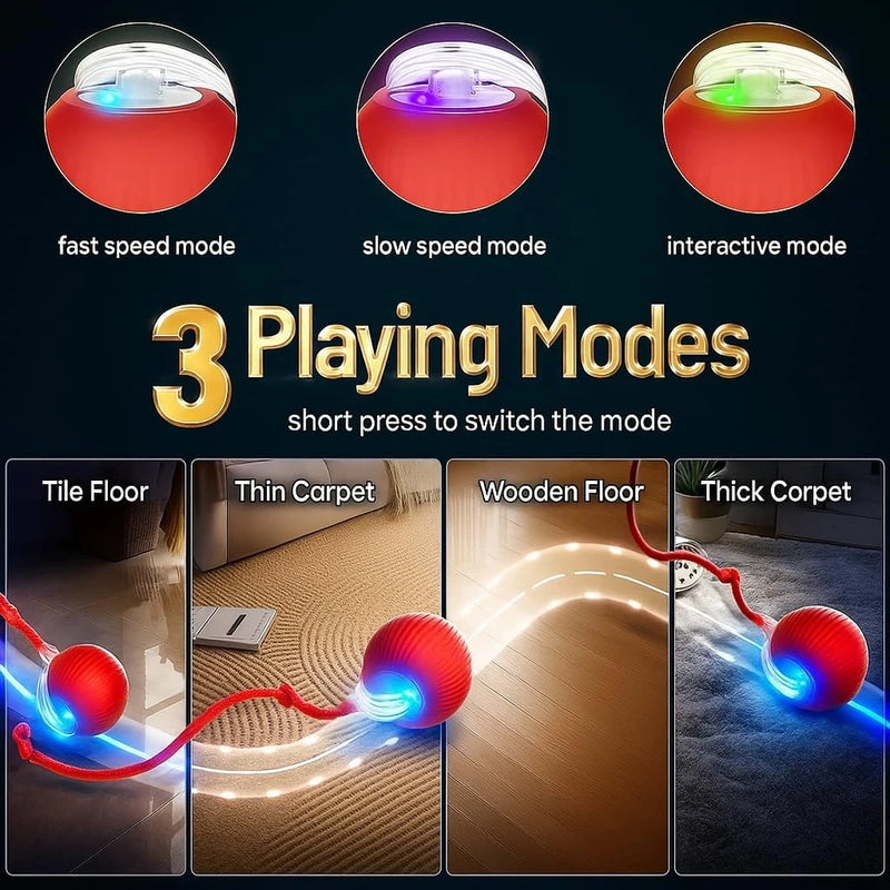 Interactive Rolling Pet Ball