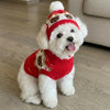 Cable-Knit Dog Sweater