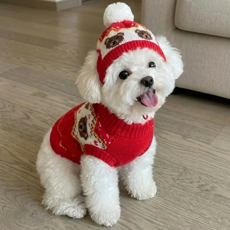 Cable-Knit Dog Sweater