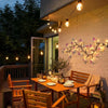 Enchanted Butterfly LED Lights