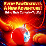Interactive Rolling Pet Ball