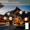 WiFi Remote Control Smart Plug