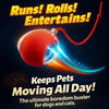 Interactive Rolling Pet Ball