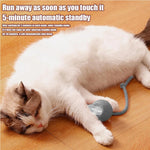 Interactive Rolling Pet Ball
